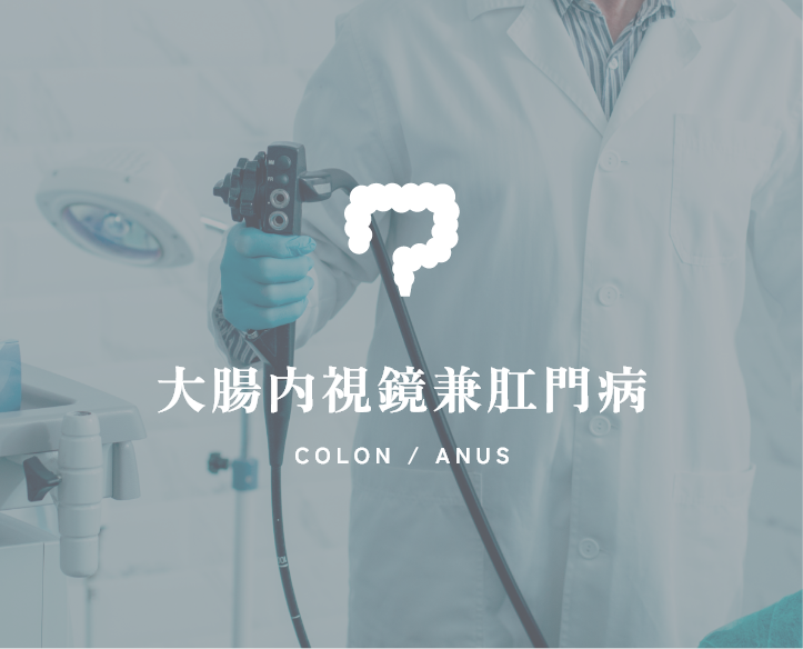 大腸内視鏡兼
肛門病